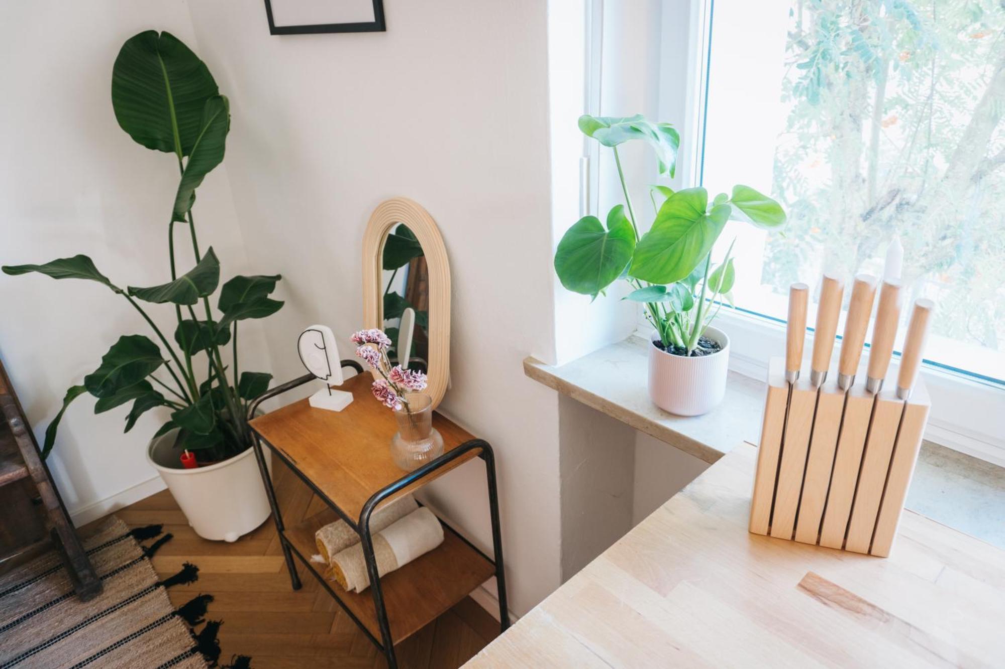 Raum Life - Vintage Loft - Heimkino Netflix - 2x Privat Parkplaetze Apartment *
